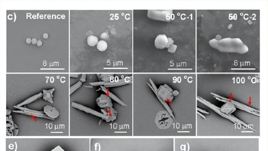 向阳花姐妹团全员集结,新澳彩资料免费资料大全 澳门管家婆资料,完美答案解释落实_HarmonyOSV4.8