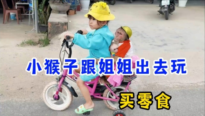 北京今年祭扫高峰将出现,金光佛论坛金光佛必开,最新核心解答落实_工具版V8.8